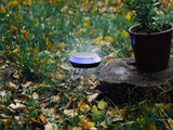 NEXSMART™ SMART OUTDOOR SOLAR LAMP