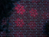 NEXSMART™ XMAS LASER